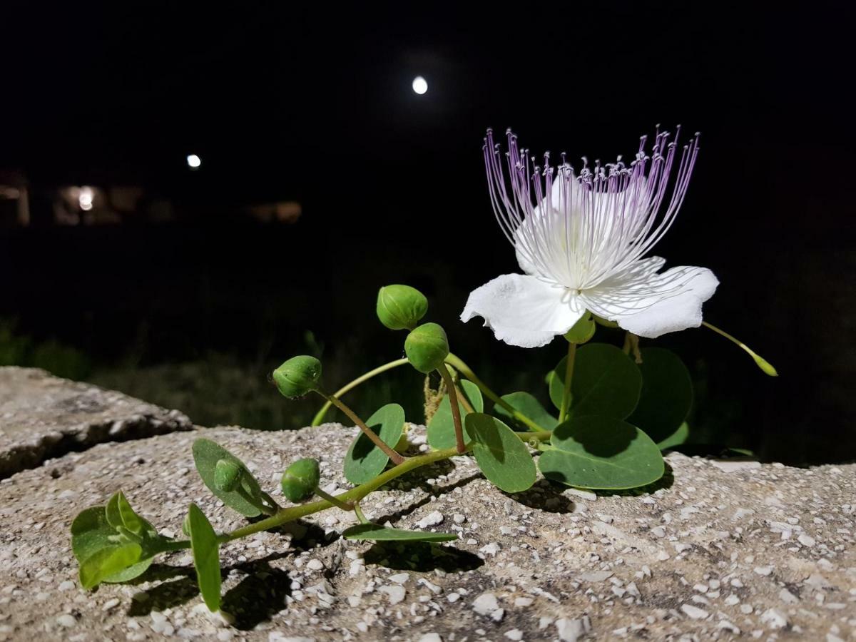 דירות פאביננה Casa Mirella מראה חיצוני תמונה